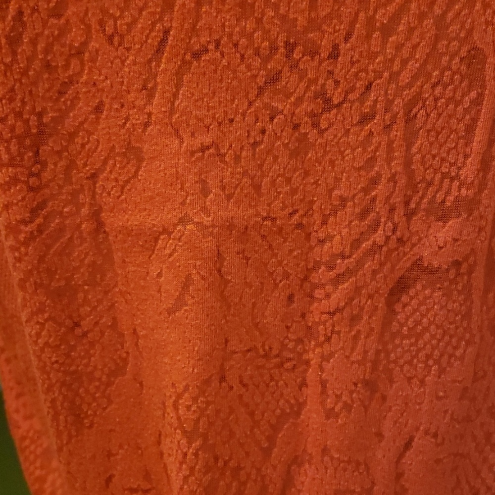 Red Top - Picture 2 of 4